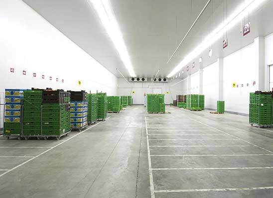 kho-lanh-tru-dong-va-nhung-dieu-can-biet-khi-su-dung-kho-lanh