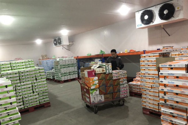Thi công lắp đặt kho lạnh bảo quản sữa chua