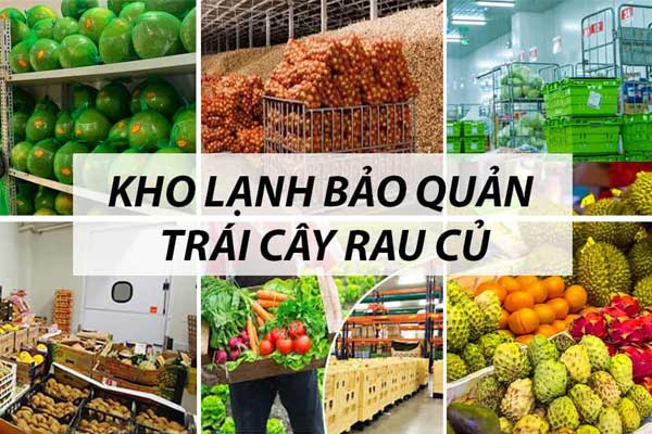 Lợi ích của kho lạnh bảo quản trái cây và rau củ