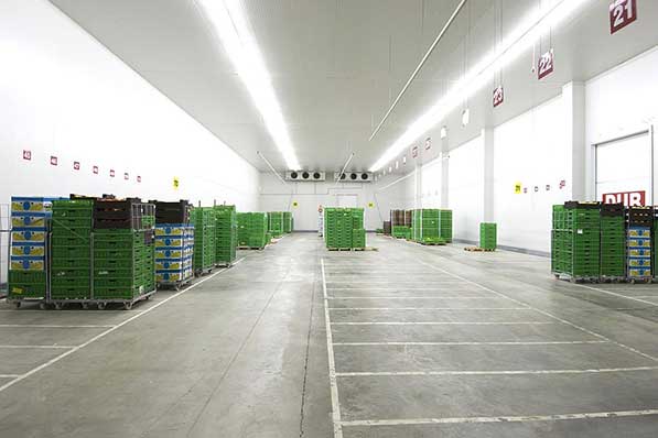 Kho lạnh trữ đông và những điều cần biết khi sử dụng kho lạnh