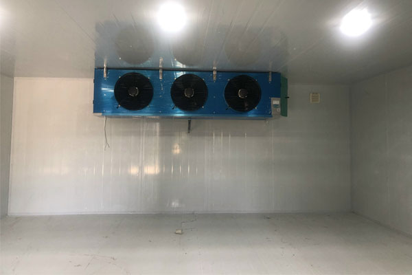 Sự khác biệt giữa kho mát và kho đông lạnh